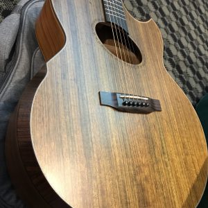 Jerubbaal Custom Made Guitar Down Sized
